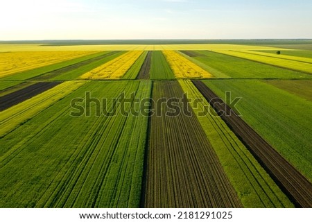 Similar – Image, Stock Photo Aerial View Of Green Forest And Meadow Hill Landscape Near River. Top View Of Beautiful Nature From High Attitude.