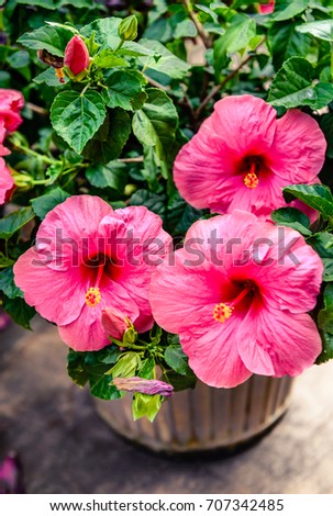 Shutterstock Puzzlepix