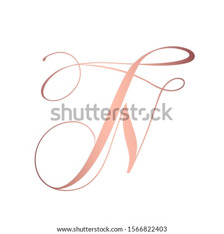 NT monogram logo.Typographic icon.Calligraphic lettering sign.Alphabet initials isolated on light background.Uppercase decorative letter n and letter t.Elegant,beauty,luxury,wedding style characters. Stok fotoğraf © 