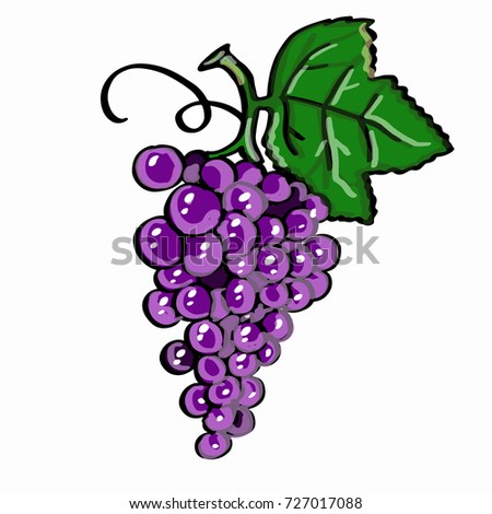 purple grape   and white background  Stok fotoğraf © 