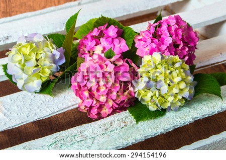 bouquet of fresh flowers hydrangeas on wooden boards