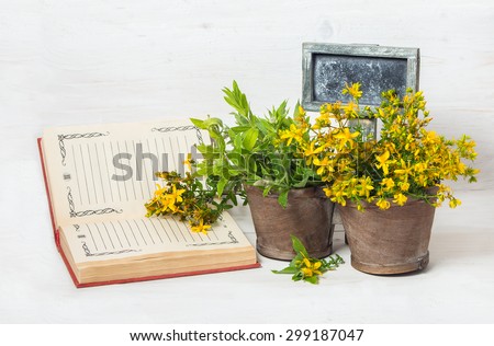 healing herbs mint, St. John\'s wort, pot with a tablet for text  and a book to record