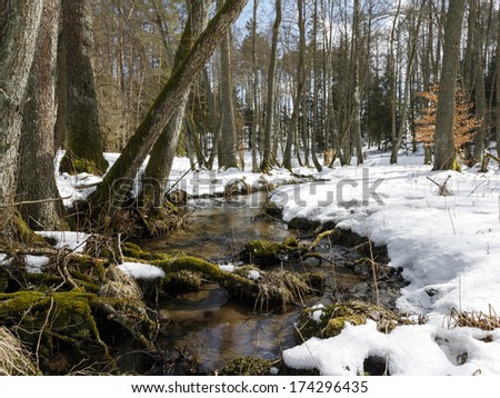 River in north Poland.Winter time.Pomorze(Pomerania)district/Winter river