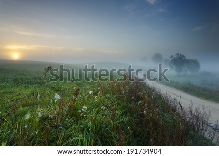 Morning light in Pomorskie province in north Poland. Kashubia (Kaszuby) district/Morning light