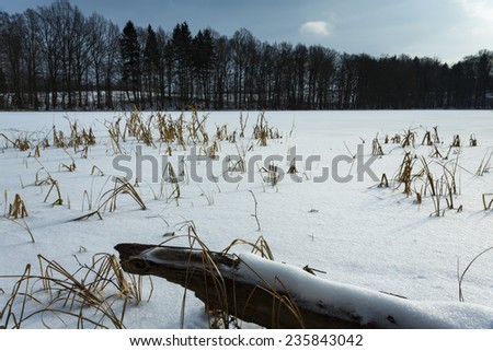 Frozen lake in north Poland.Winter time/Frozen lake at winter time in north Poland