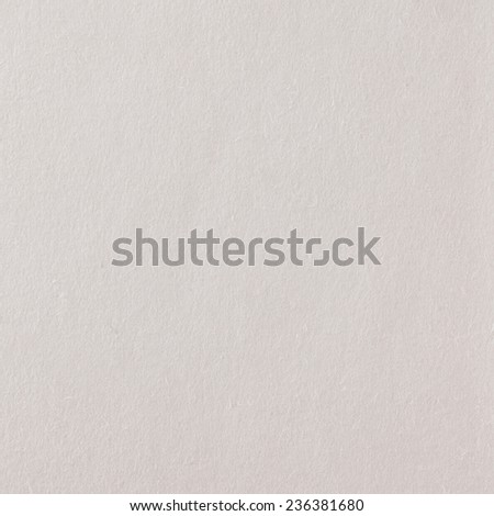 White textured paper background/ White textured paper