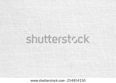 White Canvas Texture or Background/ White Canvas