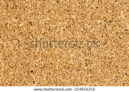 Cork Board Texture or Background/ Cork Board