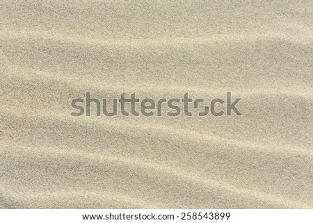 Sand Texture or Background/ Sand Texture