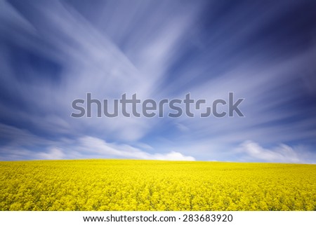 Rape field in north Poland.Long time exposure with blurred clouds/Rape field