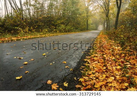 Autumn road in north Poland.Vintage Style/ Autumn Road