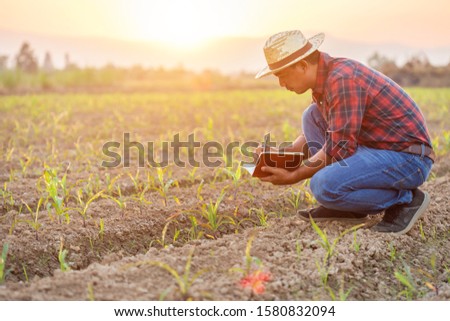 Similar – Image, Stock Photo Crop person with a bunch of fresh asparagus