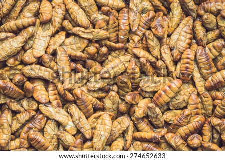 Close up stack of silkworm pupae pattern for background