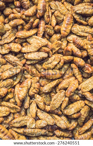 Close up stack of silkworm pupae pattern for background