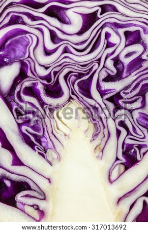 Macro texture of purple cabbage can use for background