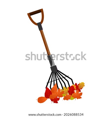 Rake and autumn leaves on a white background, used for design, vector illustration