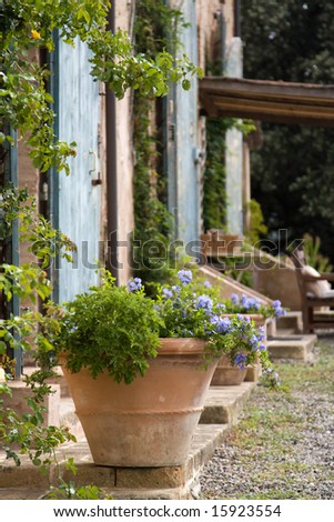 https://image.shutterstock.com/display_pic_with_logo/172978/172978,1218284870,1/stock-photo-terracotta-plant-pot-outside-a-tuscan-farmhouse-15923554.jpg