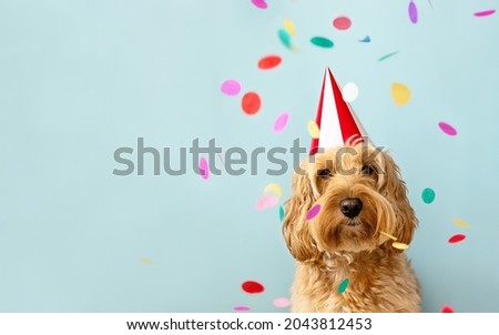 Cute dog celebrating at a birthday party with confetti and party hat