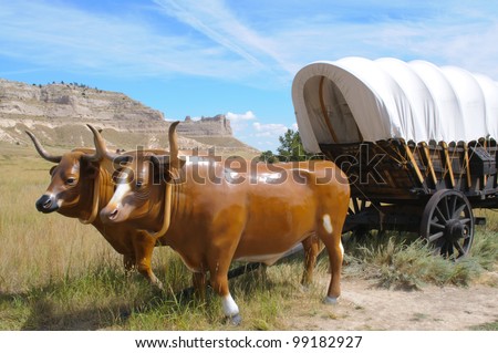 oxen and covered wagon