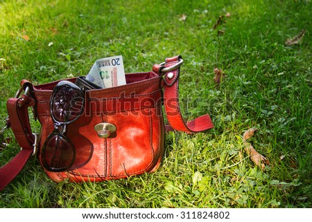 Red little crossbody bag with money and sunglasses on the green lawn