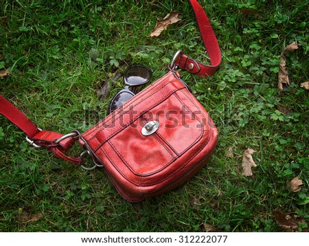 Rad small bag on the grass