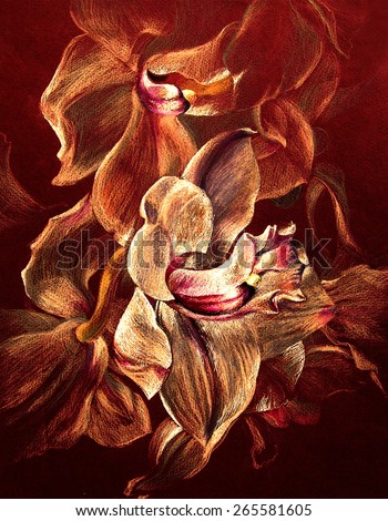 Exotic white blue orchid flower on  dark textured background. Tempera and pencil on paper - hand illustration.