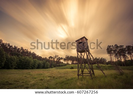The wooden cabin in the forrest in Bory Tucholskie Zdjęcia stock © 