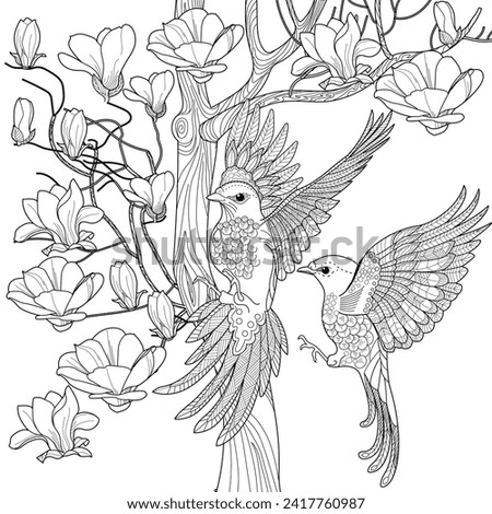 Antistress drawing for coloring. Coloring Book for adults and children.  Blooming magnolia tree and birds. Romantic concept.
