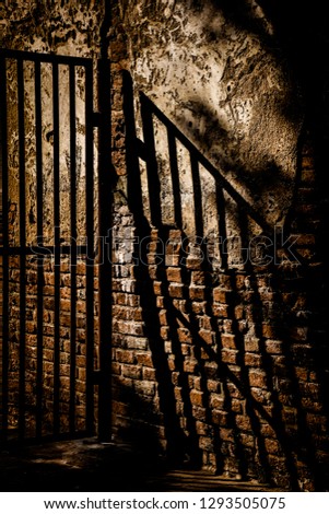 Shutterstock Puzzlepix