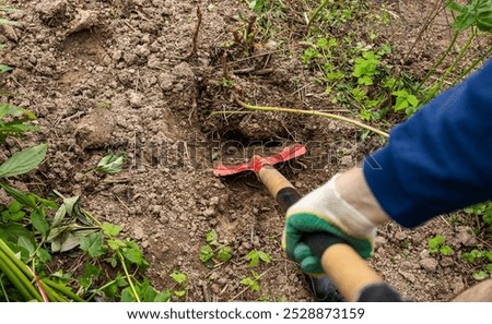 Similar – Image, Stock Photo Shovel, digging fork and spade