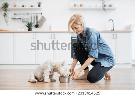 Image, Stock Photo Woman feeding dog in mountains