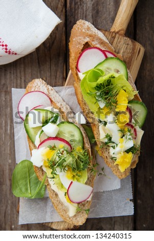 Fresh sandwiches with egg,radish,cucumber and lettuce