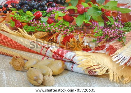 autumn composition of fruits and flowers and leaves