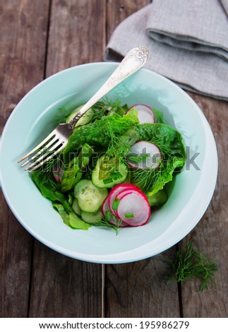 spring salad with romaine lettuce, radishes, green asparagus, cucumber and dill