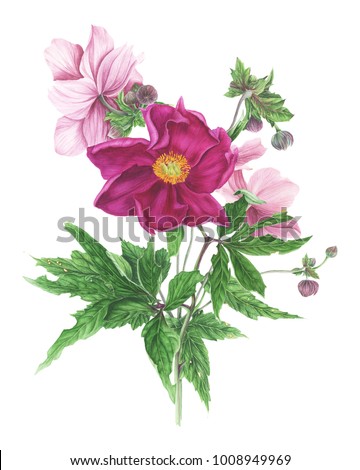 Bouquet of flowers: peony and anemones and leaves, watercolor painting