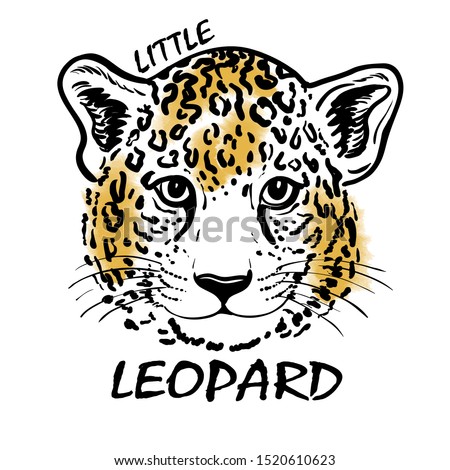 Muzzle, portrait of leopard baby close-up. Childish. Funny realistic wild cat. Template for printing on T-shirts, posters, cards. Black, white and yellow color. Realistic sketch. Beast style