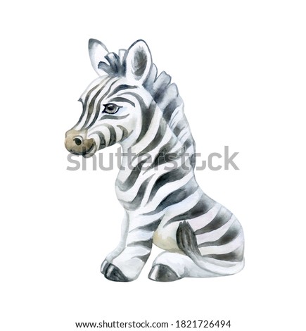 Cute zebra cub isolated on white background. Zebra baby. African animals. Safari. Illustration. Template. Hand drawn. Greeting card design. Clip art.