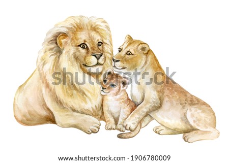 Family of lions isolated on white background. Father, mother, child, baby, The lion, the lioness, the lion cub. Lion Pride. Watercolor. Illustration. Template