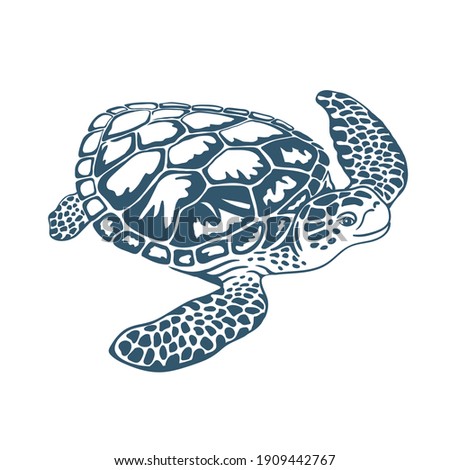 Turtle Outline | Free download on ClipArtMag