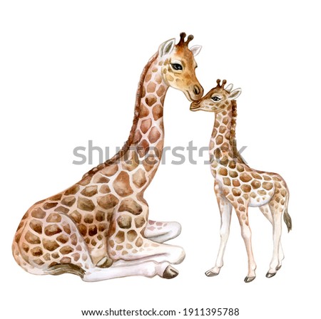 Giraffes. Mum with baby isolated on white background. Motherhood. Childhood. Watercolor. Illustration. Template. Clip-Art. Hand drawn