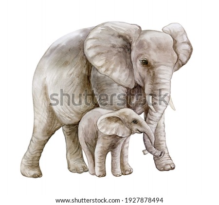 African elephant with a child. Mom and baby. Family isolated on white background. Watercolor. Illustration. Motherhood, childhood