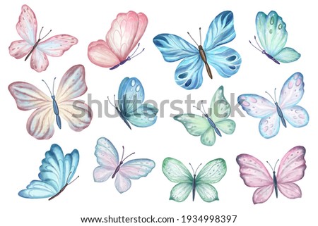 Set of butterflies isolated on white background. Watercolor. Illustration. Template, blue, yellow, pink and red butterfly spring illustration.