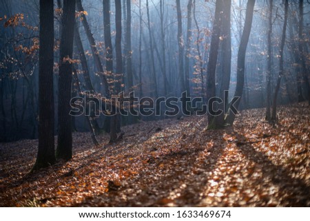 Shutterstock Puzzlepix