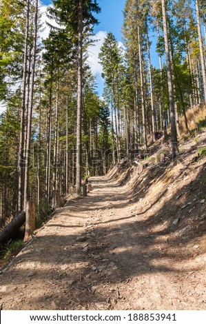 Forest path in Beskid Mountains in Poland, Wielka Racza Mount