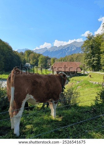 Similar – Foto Bild Berner Oberland Klima