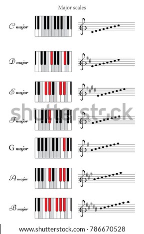 Major scales: C, D, E, F, G, A, B. Piano keyboards top view, line with key signatures. Musical theory. Vector illustration. Stock fotó © 