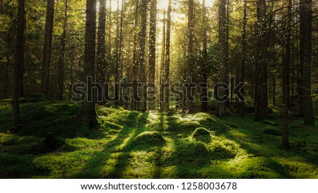 Similar – Image, Stock Photo Green mystical landscape with rivers, hills and fog in Asia