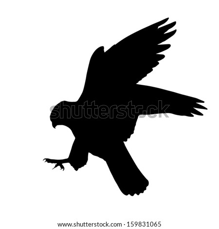 Silhouette of the Falcon attack.