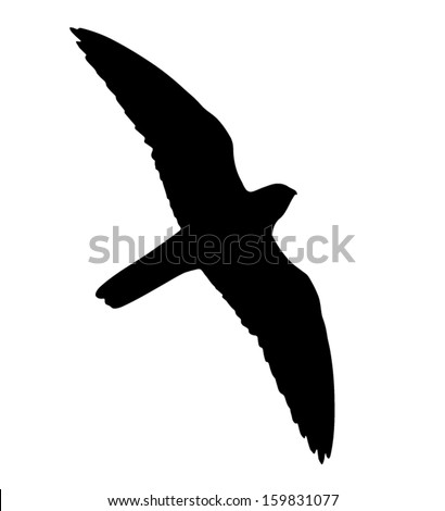 Silhouette of the falcon in flight. Can be used as Falcon (raptor) Silhouette Window Sticker to prevent birds from flying and killing themselves to the building windows. 