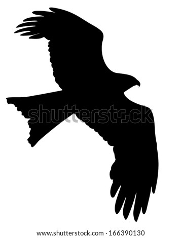 Vector Silhouette Of The Bird Of Prey In Flight. - 166390130 : Shutterstock